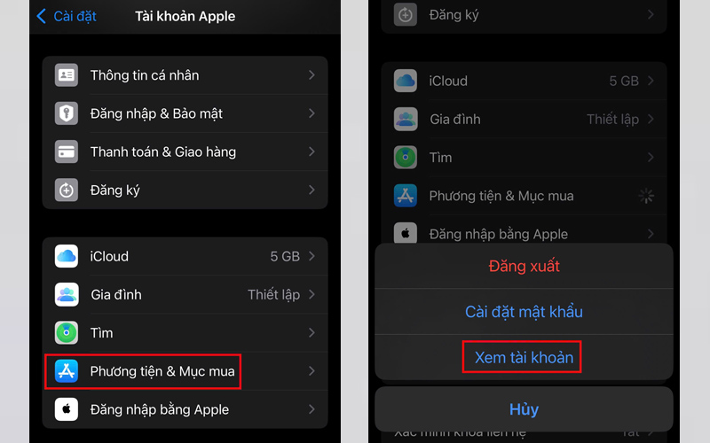 Nhấn vào mục Xem tài khoản sau khi chọn Phương tiện & Mục mua