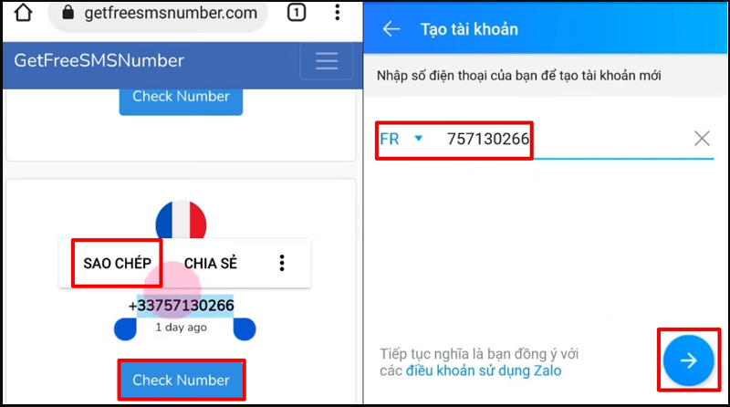 Sao chép một số điện thoại và nhấn vào mục Check Number