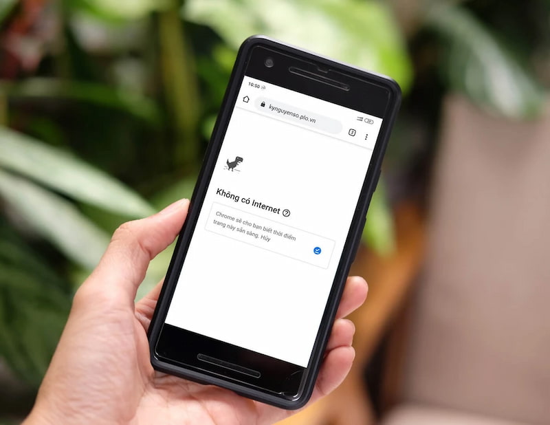 Điện thoại không có internet