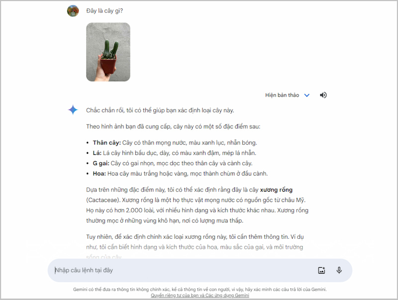 Google Gemini cho khả năng hỏi và trả lời bằng hình ảnh