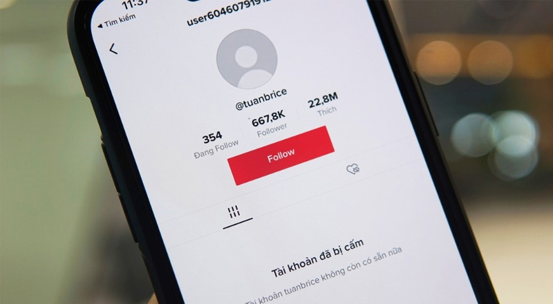 Sử dụng từ cấm trên TikTok Shop sẽ bị hậu quả gì