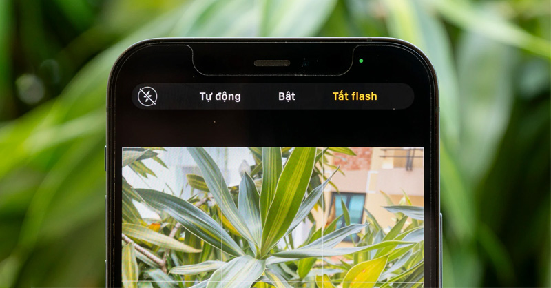 iOS 18 cho phép mở nhanh các tùy chọn đèn flash khi chụp ảnh 