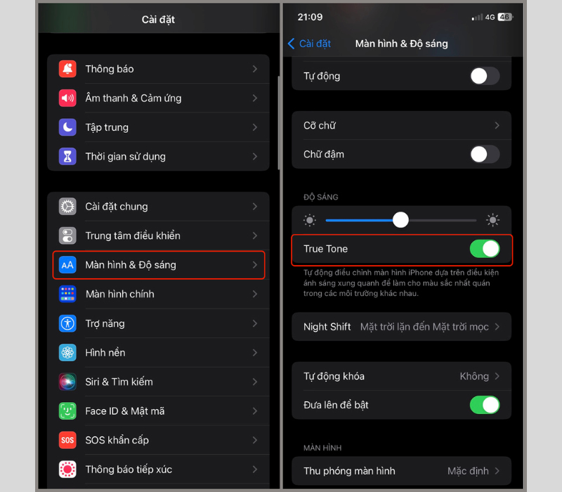 Kiểm tra cài đặt True Tone trên iPhone