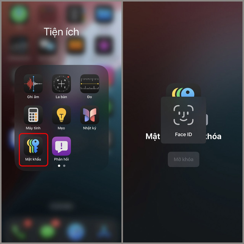 Mở khóa mật khẩu bằng Face ID và Touch ID