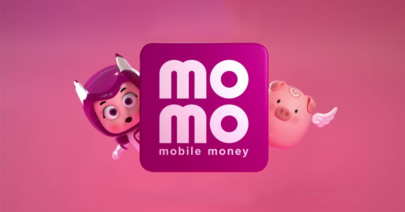 MoMo là ví điện tử hàng đầu Việt Nam