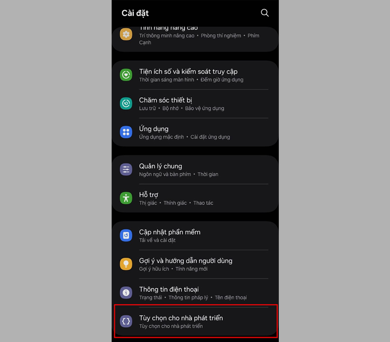 Nhấn vào mục Tùy chọn cho nhà phát triển tại giao diện Cài đặt