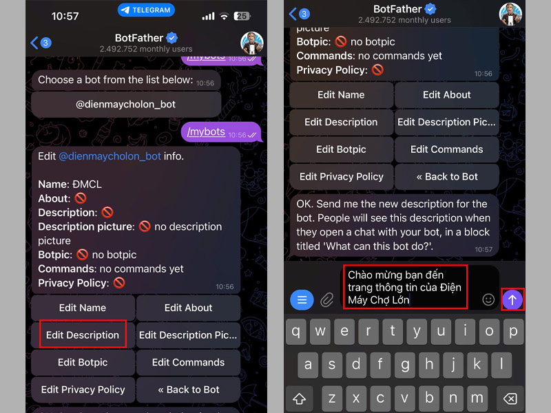 Nhấn vào tùy chọn Edit Description, sau đó nhập đoạn mô tả mới cho bot