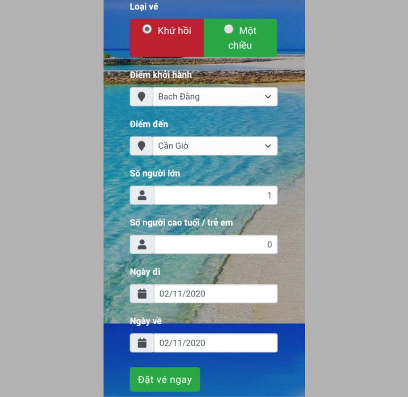 Nhập điểm khởi hành, điểm đến, số người lớn, ngày khởi hành,...