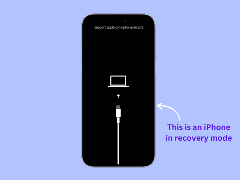 Người dùng có thể kích hoạt tính năng RecoveryOS trên iPhone 16 series