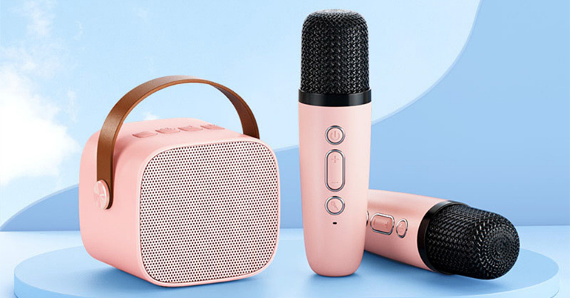 Hướng dẫn sử dụng loa karaoke bluetooth mini