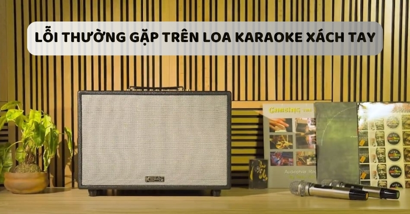 Lỗi thường gặp trên loa karaoke xách tay