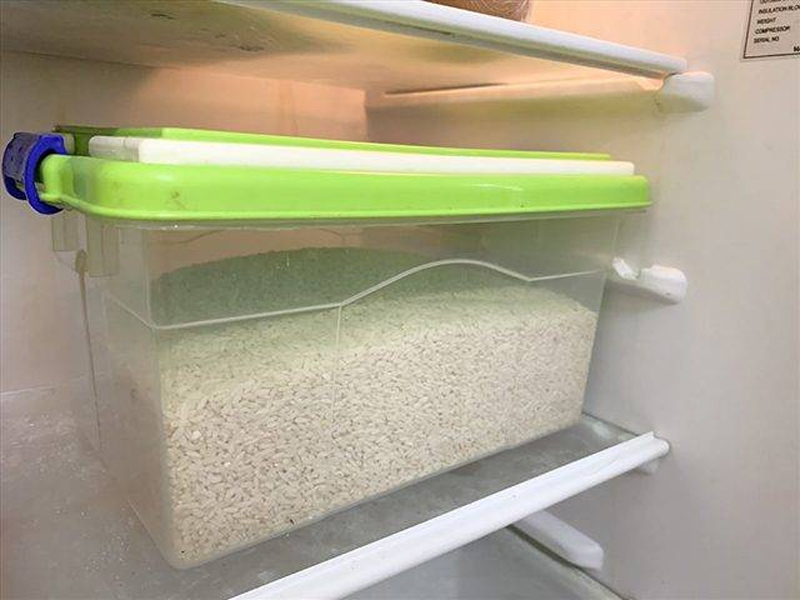 Bỏ gạo có mọt vào tủ lạnh để loại bỏ mọt hiệu quả