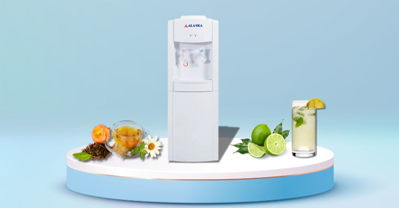 Cây nước nóng lạnh Alaska làm nổi bật không gian nội thất gia đình 