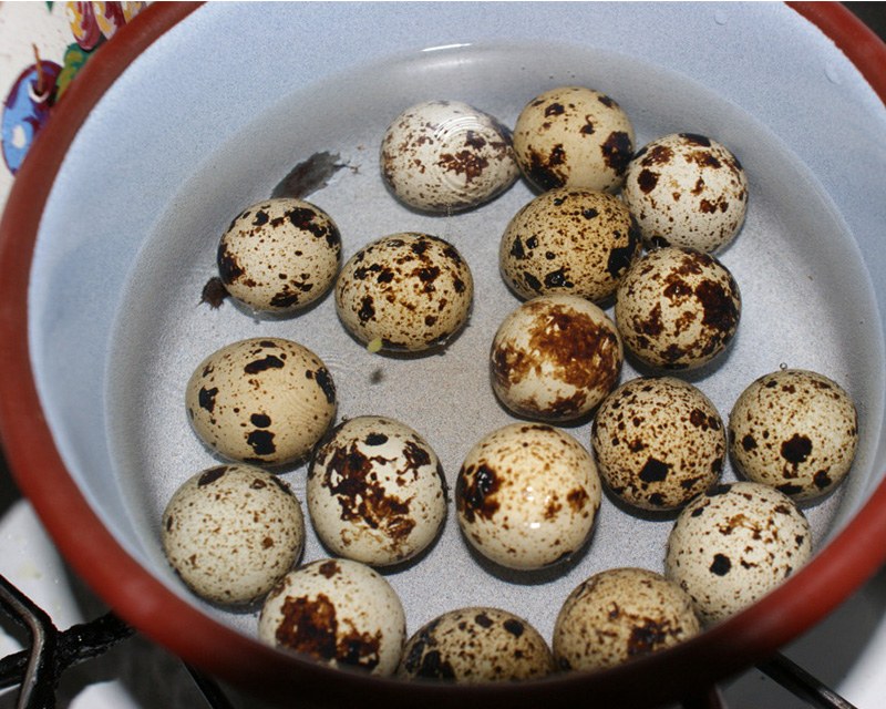 Luộc trứng cút trong khoảng 6 - 7 phút