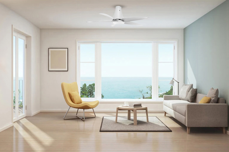 Quạt trần tạo luồng gió mát dịu cho không gian rộng 