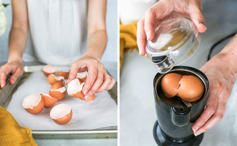 Xay vỏ trứng gà để cải thiện lưỡi dao máy xay sinh tố bị cùn