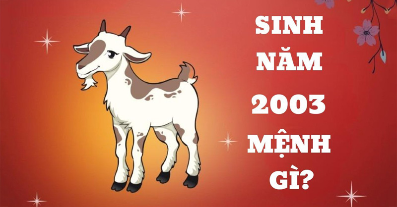 Tìm hiểu tất tần tật về người sinh năm 2003