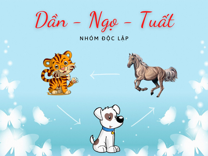 Nhóm tuổi tam hợp Dần - Ngọ - Tuất được gọi là nhóm độc lập
