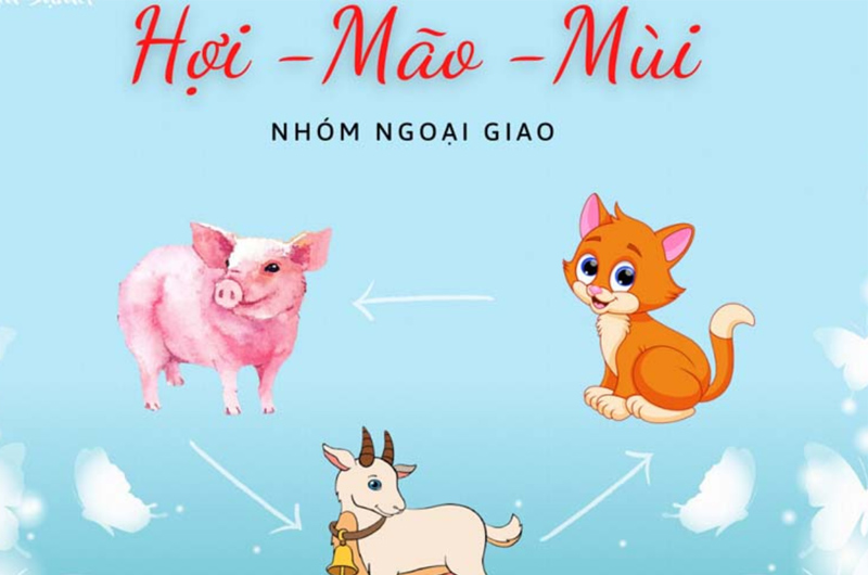 Nhóm tuổi tam hợp Hợi - Mão - Mùi được gọi là nhóm ngoại giao