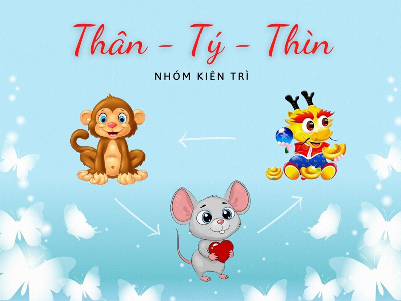 Nhóm tuổi tam hợp Thân - Tý - Thìn được gọi là nhóm ngoại giao