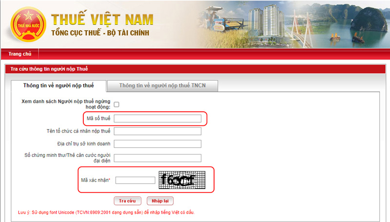 Nhập thông tin trên trang Thuế Việt Nam