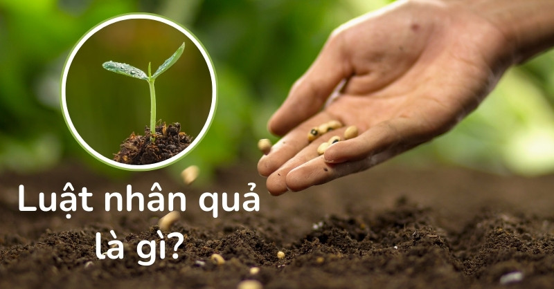 Luật nhân quả là gì?