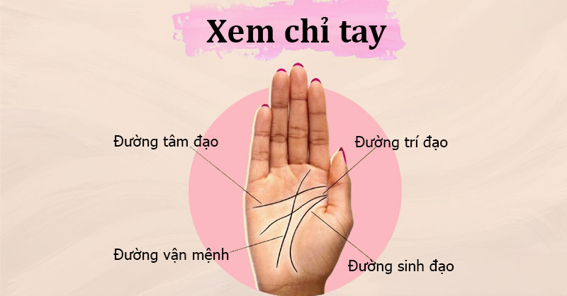 Xem chỉ tay là gì?