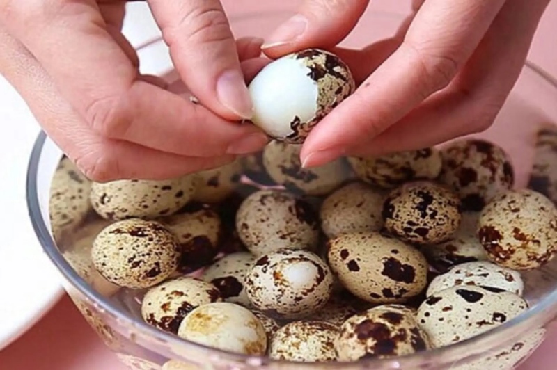 Luộc và bóc vỏ trứng cút chuẩn bị kho tôm