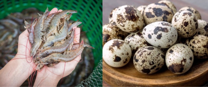 Tôm tươi và trứng cút nguyên liệu làm món tôm kho trứng cút