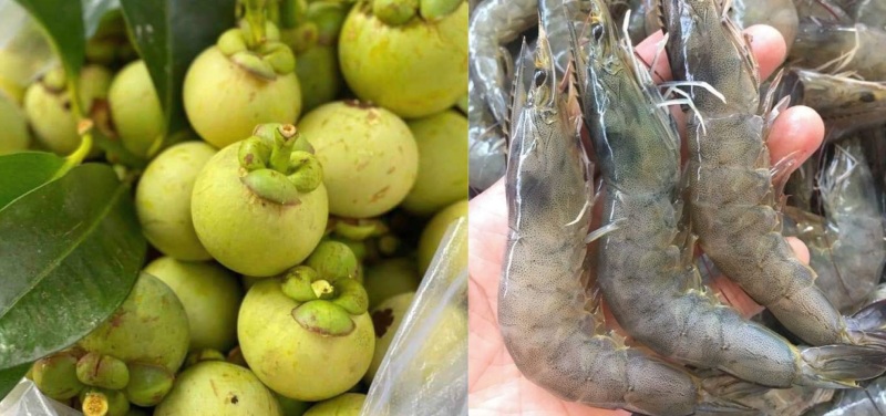 Măng cụt xanh và tôm tươi dùng làm gỏi măng cụt