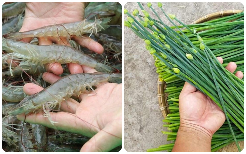 Tôm tươi và bông hẹ