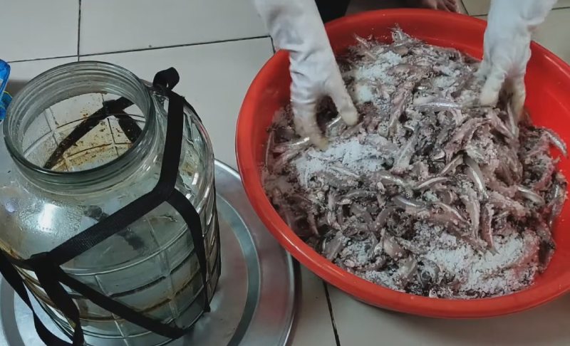 Ướp cá với muối