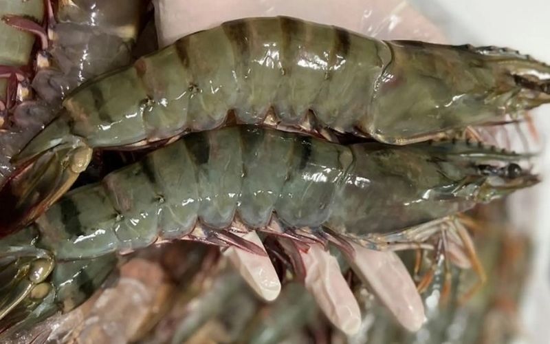 Chuẩn bị tôm để bóc vỏ