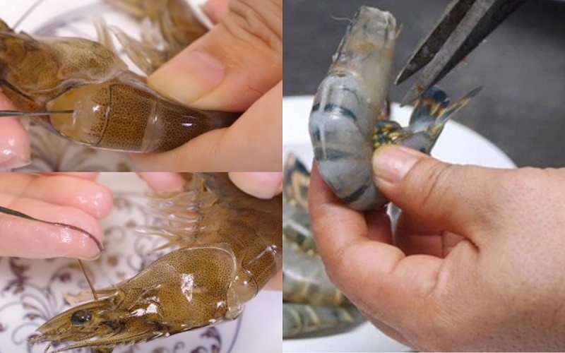 Tôm được sơ chế và làm sạch