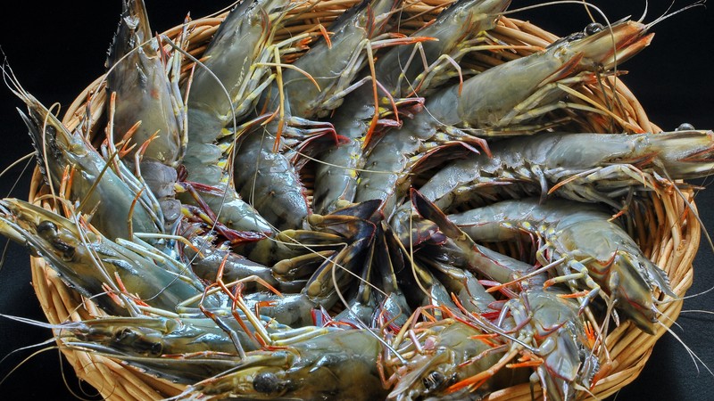 Tôm tươi nguyên liệu chính làm món tôm kho tộ