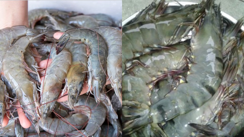 Tôm tươi để nướng muối ớt