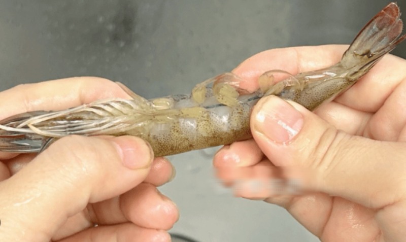 Bóc lớp vỏ ở hai bên đầu tôm