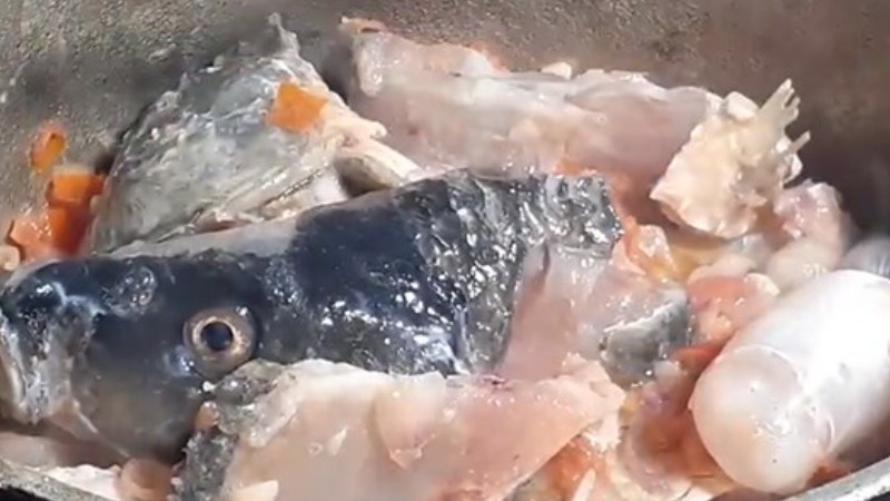 Xào sơ cá và nguyên liệu