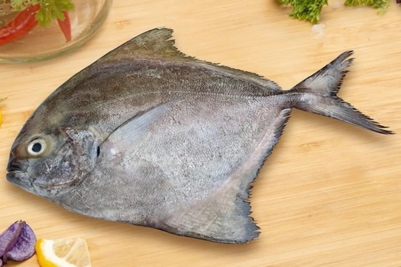 Cá chim tươi nguyên con dùng để nấu canh ngót