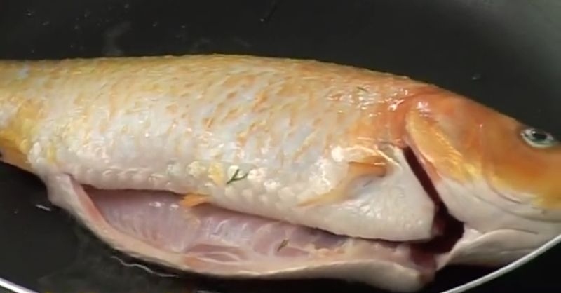  Chiên cá trước khi nấu cho cá săn lại