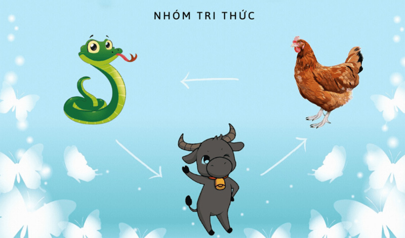 Nhóm tuổi tam hợp Tỵ - Dậu - Sửu được gọi là nhóm tri thức