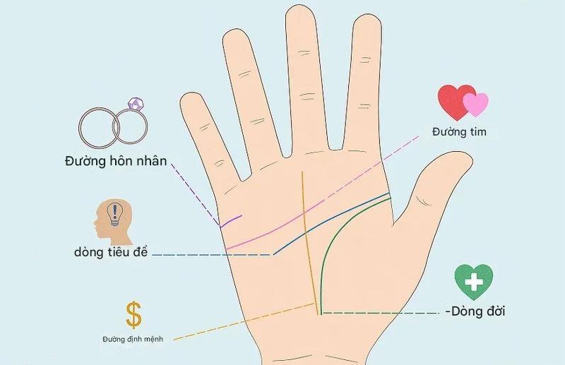 Đường chỉ tay hôn nhân nằm ở cạnh bàn tay, ngay dưới ngón út
