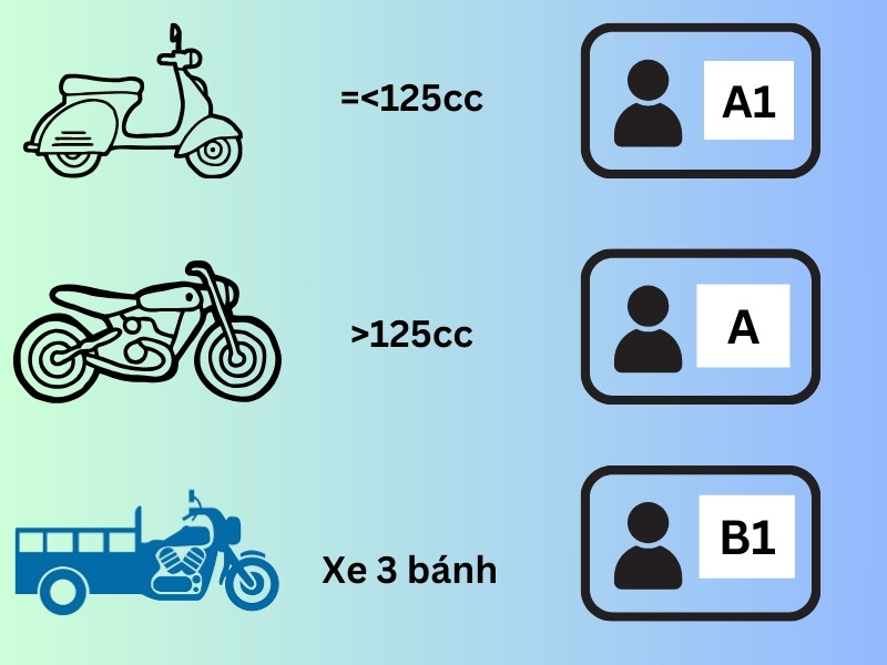 Hạng giấy phép lái xe mới