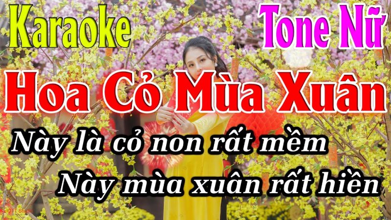 Karaoke Hoa cỏ mùa xuân