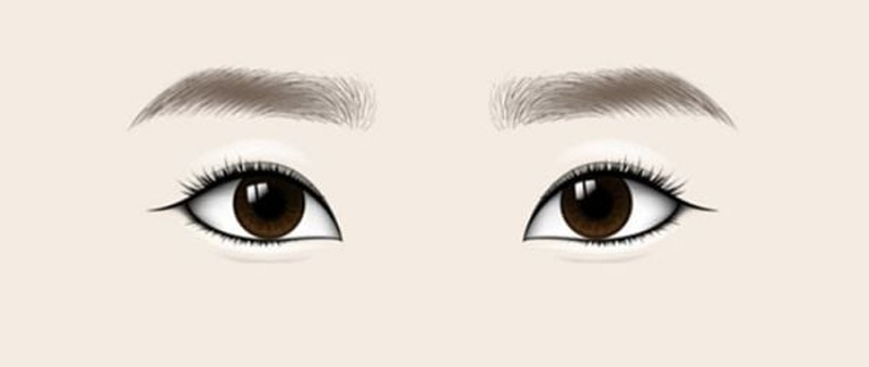 Mắt lá liễu mang vẻ dịu dàng, mềm mại, đằm thắm và nữ tính