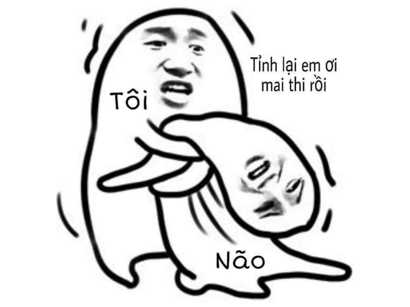 Meme não tôi khi mai thi