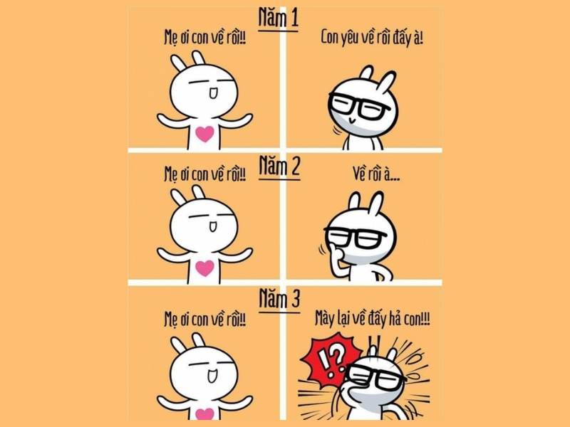 Meme thái độ phụ huynh 3 năm đại học với con