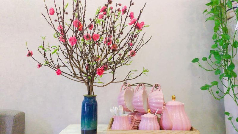 Hoa đào chưng ngày Tết