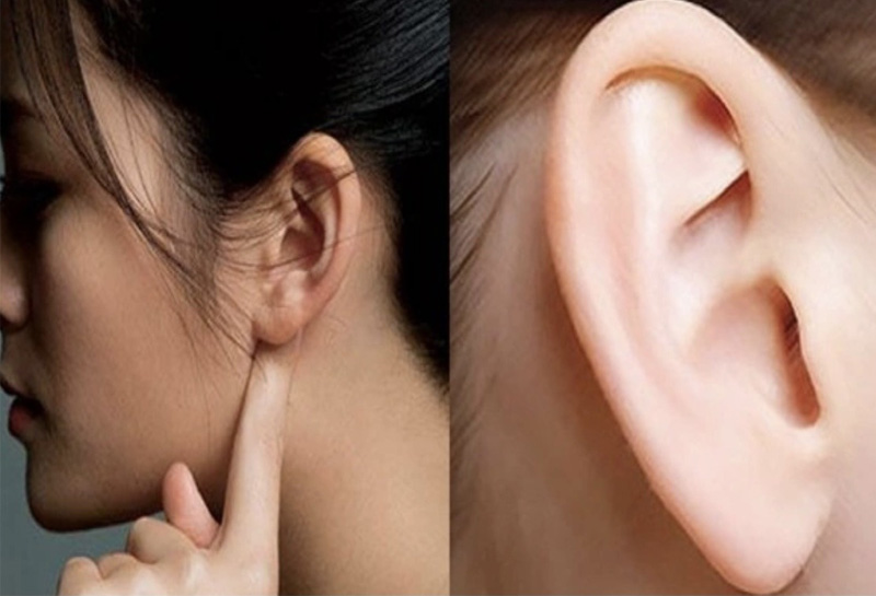 Người sở hữu mắt rồng thọ lâu khi đi kèm đôi tai to