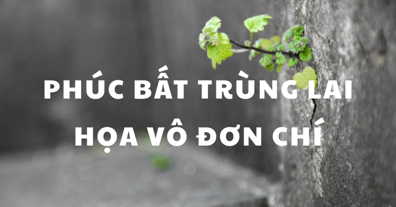 Ý nghĩa câu phúc bất trùng lai họa vô đơn chí